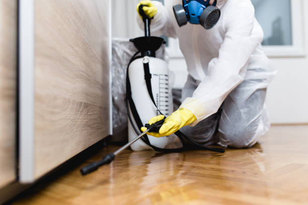 Best Commercial Pest Control Services  in Carle Place, NY