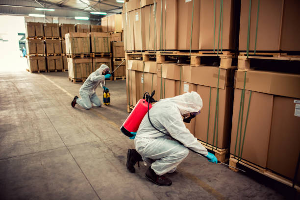 Best Exterminator Services  in Carle Place, NY