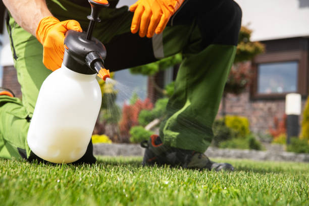 Best Pest Prevention Services  in Carle Place, NY