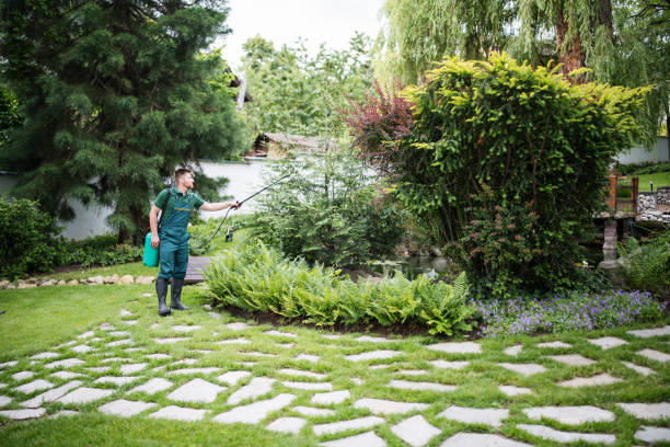 Best Pest Inspection Near Me  in Carle Place, NY
