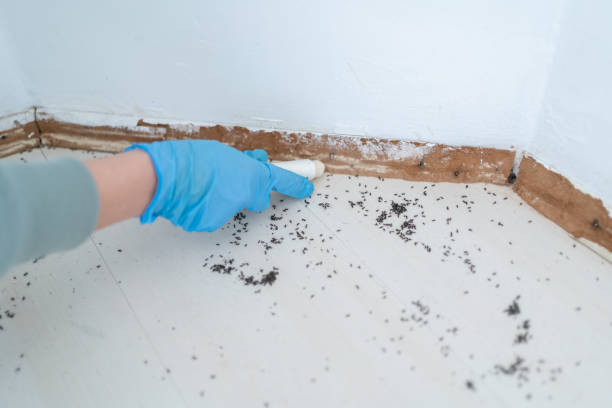 Carle Place, NY Pest Control Company