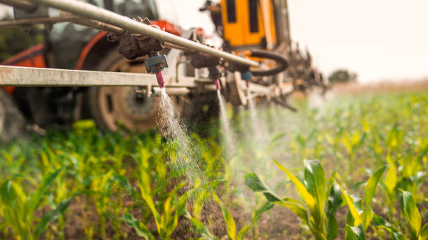 Best Ant Control Services  in Carle Place, NY